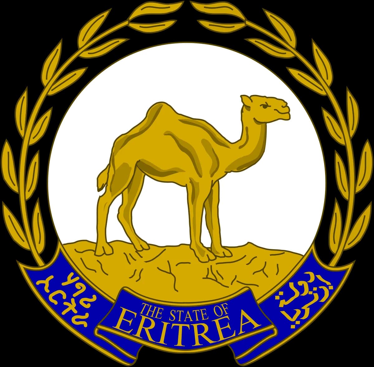 Eritrean Air Force launches biennial internal sports competitions
