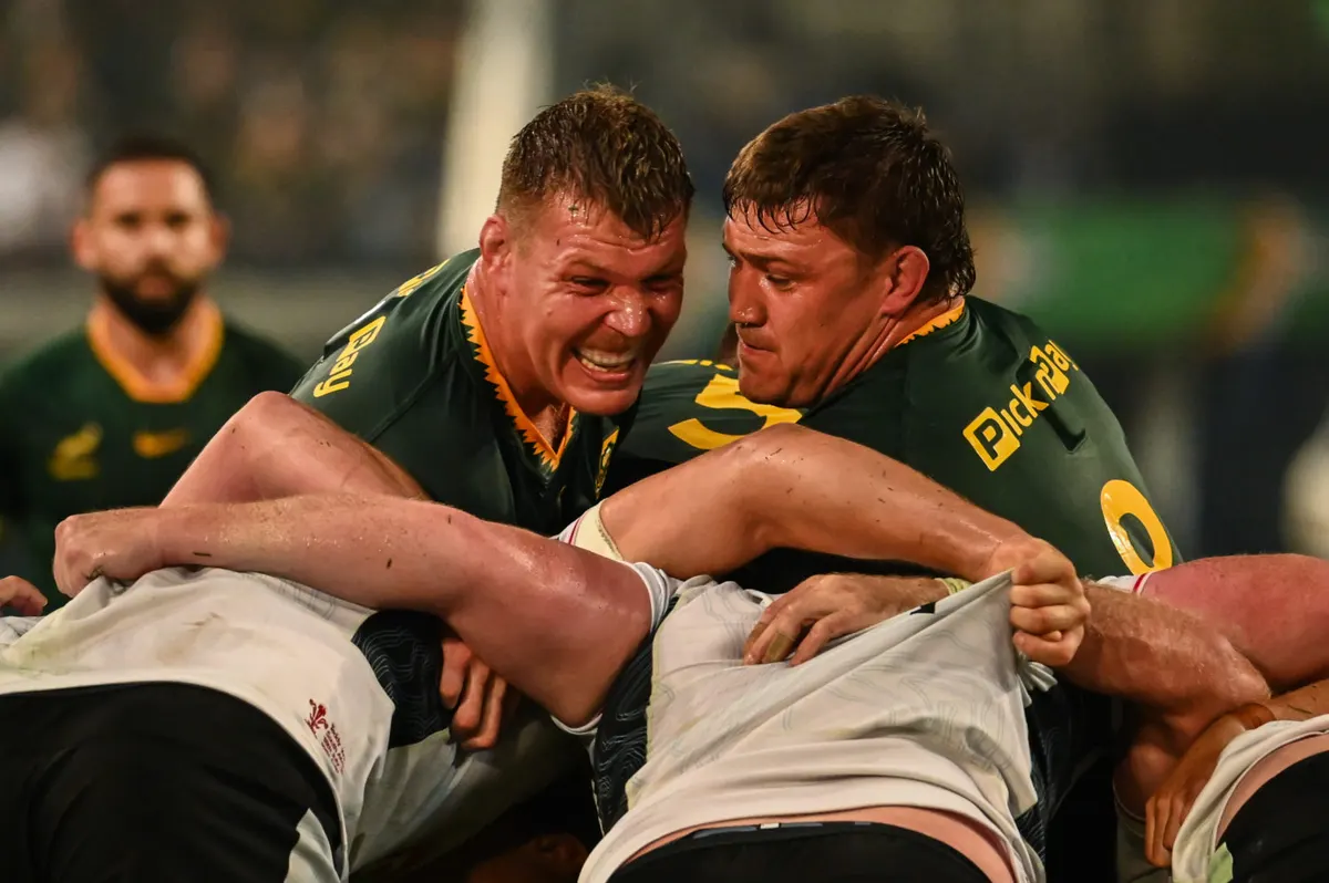 موراي ميكستيد يشيد بتركيز الـ Springboks وتفوقهم البدني