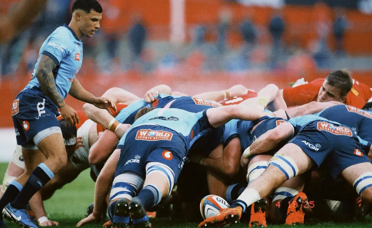 ريني يتوقع أداءً هجومياً من فريق Bulls في مواجهة All Blacks المرتقبة