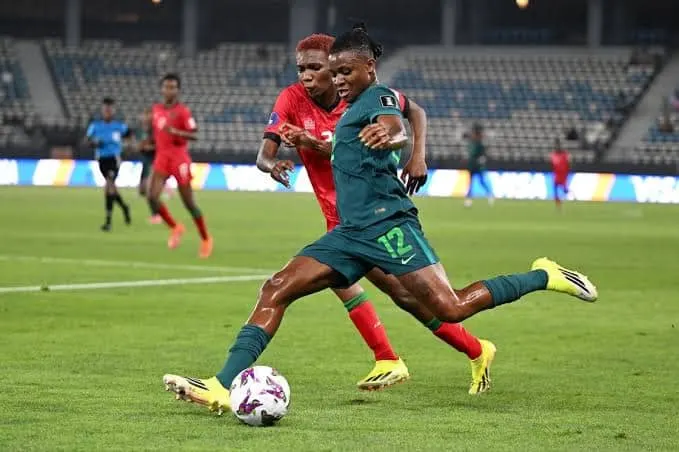 أوتشينا كانو تتعهد بأن تقاتل "السوبر فالكونز" جنوب أفريقيا من أجل مقعد في كأس العالم