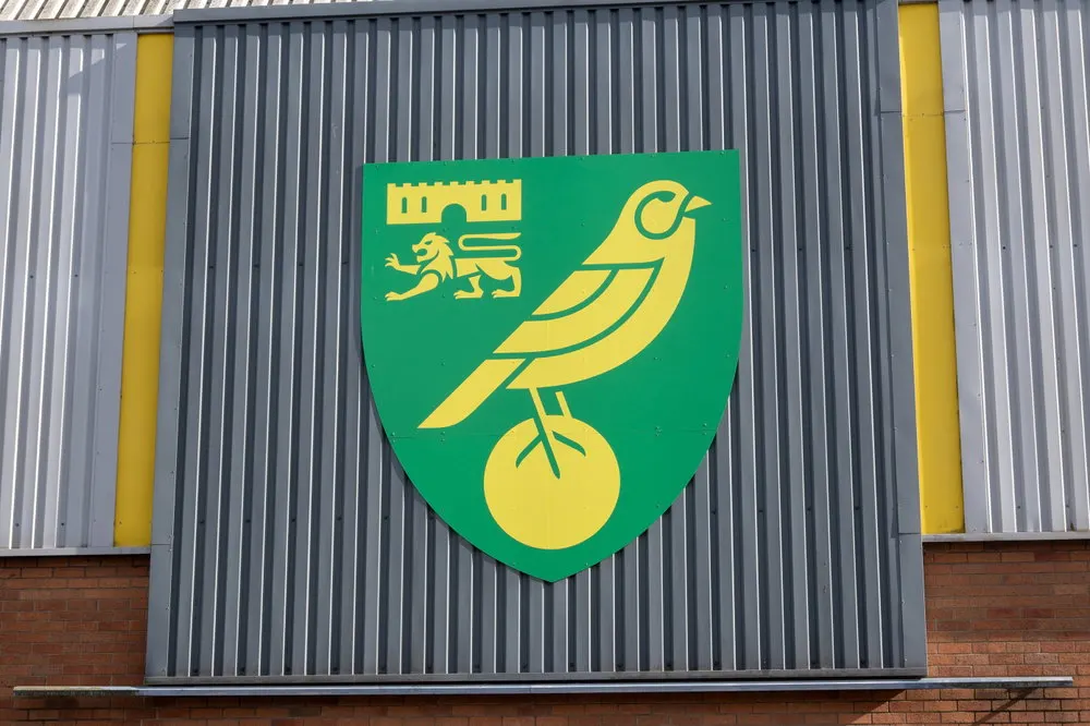 L’attaquant de Norwich City Mohamed Touré proposé à Porto, sans intérêt du club