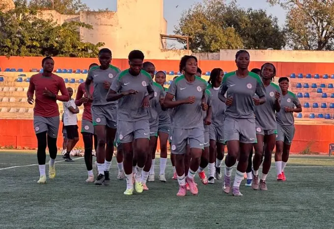 Les Falconets programment des amicaux contre la Pologne et la République de Corée avant la Coupe du Monde U-20 2026