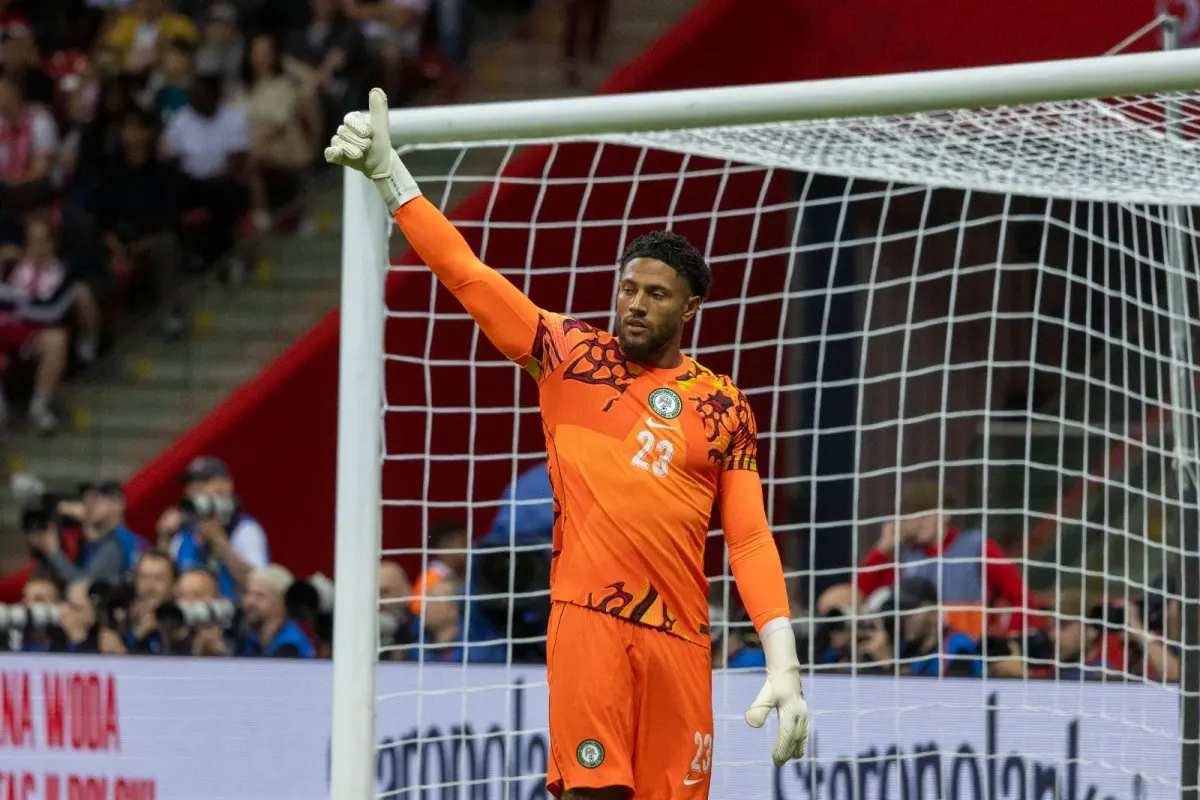 Nwabali faces competition for Super Eagles spot as Okoye recovers